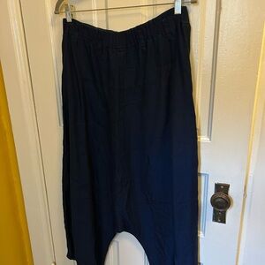 Lurdes Bergada Navy Blue Pants